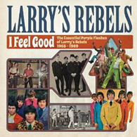 LARRY'S REBELS - I FEEL GOOD : THE ESSENTIAL PURPLE FLASHES OF LARRY'S REBELS 1965-1969    (CD24696/CD)