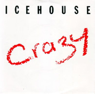 ICEHOUSE  -   Crazy/ Completely gone (G78208/7s)