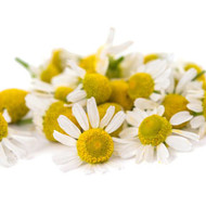 German Chamomile, Matricaria recutita