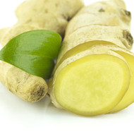 Ginger, Zingiber officinale