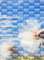 REPETITIVE POINT Adhesive Decorative Window Film
