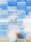 REPETITIVE POINT Adhesive Decorative Window Film