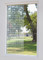 Etched Ribbon Decorative Window Film