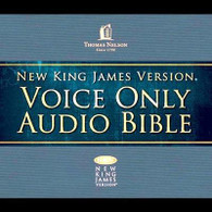 free nasb audio bible download mp3 windows 10