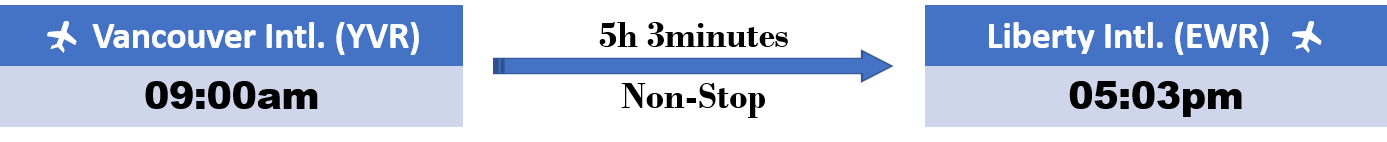 new-york-flight.png
