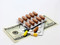 Medical Insurance
