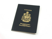 Consulting Services- Citizenship