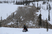 Canadian Arctic Reindeer Signature Package