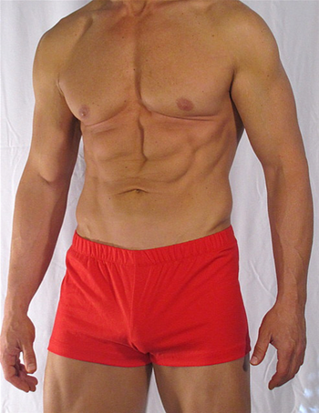 MENS COTTON WORKOUT  SHORTS ( 22 Solid Color Selections)