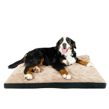 Large Quilted Plush Kit Includes One Cover, Bed and Carry Case