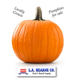 NEW! Locally Grown PUMPKINS available for purchase in October (available online for in store pick up only)