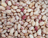 Cranberry Beans, Fresh Dried Culinary Bulk, 10 lb. grown & packaged in the USA