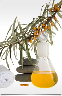 seabuckthorn-02.jpg