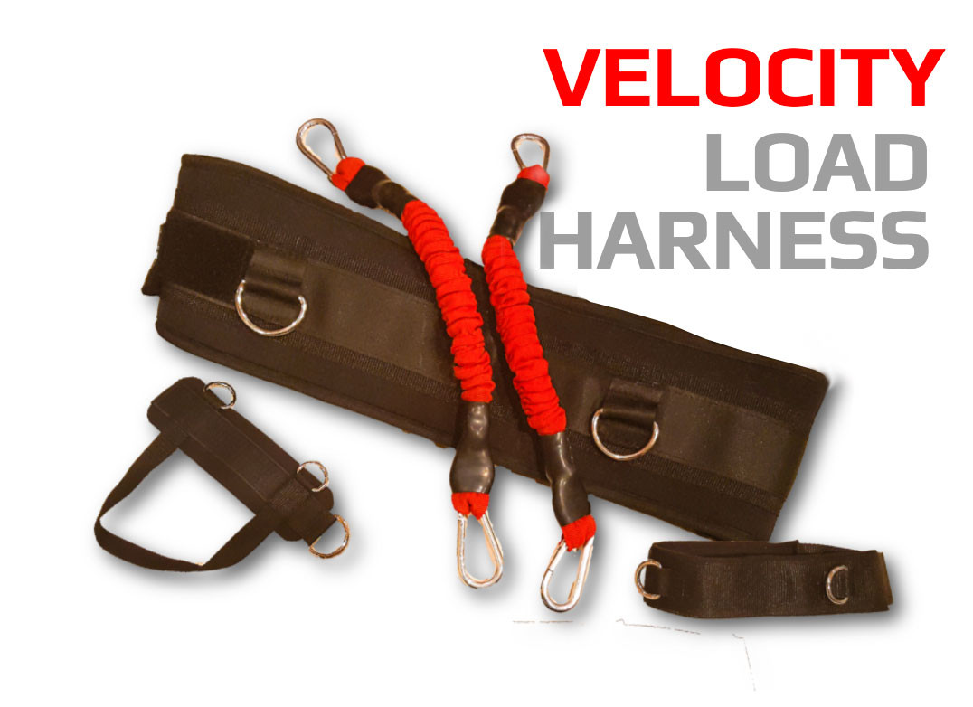 VeloPro Systems Harness - TopVelocity