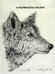 timberwolf-154.jpg