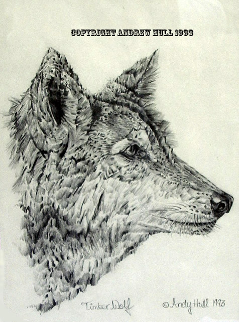 timberwolf.jpg