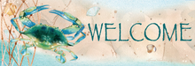 Welcome Sign Blue Crab Net