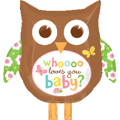 27" Whooo Loves You Baby Owl
