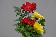 Gorgeous Gerbera pot