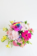 Posie pot - Pick up only