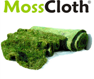 Live Moss Rolls