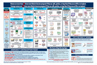 NEW Mini Contraceptive Option Charts - Pkg of 25 (12" x 18")