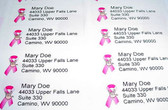 Custom Mailing Labels with Pink Ribbon