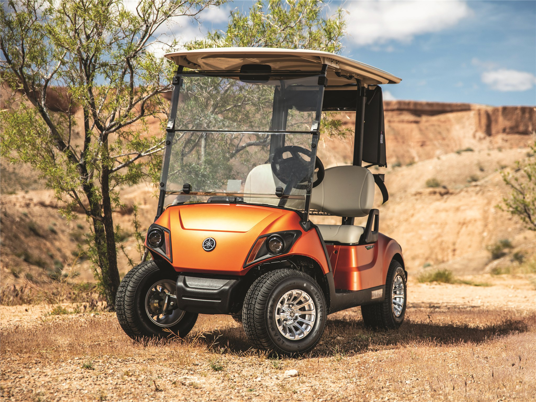 top-ten-best-golf-cart-list-2022-07-yamaha-drive2-golf-cart.png
