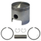 EZGO Piston and Piston Ring Assembly in Standard Size (Fits EZ-GO 2-cycle Gas 1980-1988)
