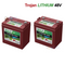 Trojan 48V Lithium Golf Cart Batteries