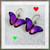 #12E. Ultra Violet Butterfly Earrings: $55
 Niobium
• Gold filled ear wires
• 1 1/8"  x 1"
