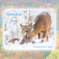 Front of Gentle Souls of the Forest II
