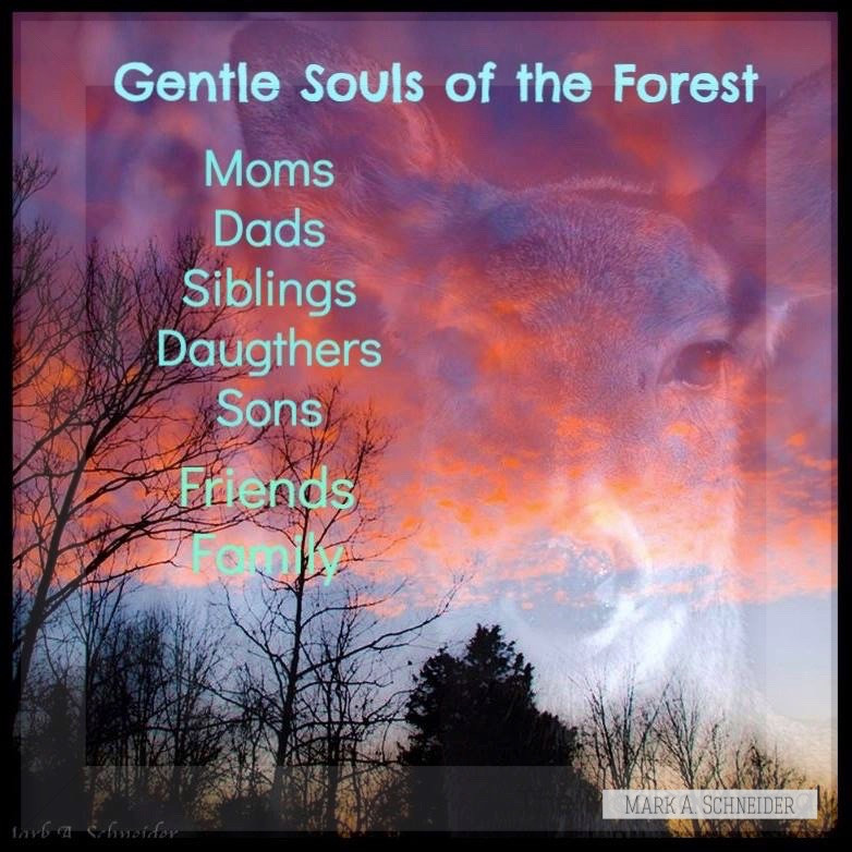 genle souls of the forest u tube