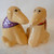 Yellow Lab Rescues Salt & Pepper 1
Handcrafted ceramic set handmade in the USA