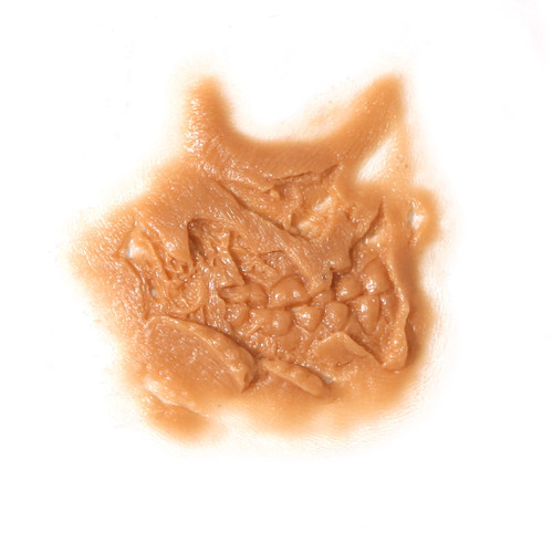 Zombie Cheek W/ Teeth (Right Side) Mold