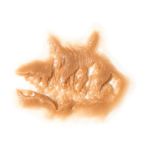 Zombie Cheek (Left Side) Mold