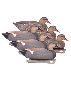 Hardcore Gadwall 6 Pack