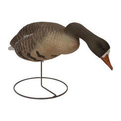 Hero Outdoors Heartland Series Specklebelly Goose Decoy 6 Pack - 851006007223