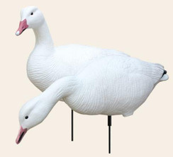 White Rock Collapsible Fullbody Snow Goose Decoy - 752423685738