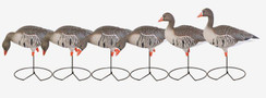 Avery White-Fronted Specklebelly Goose Decoy - 700905718139