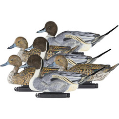 Dakota Decoys Pintail Decoys - 723175895645