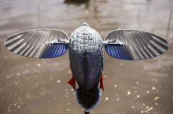 Mojo King Mallard Decoy - 816740003801