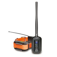 Dogtra Pathfinder - 744622080032