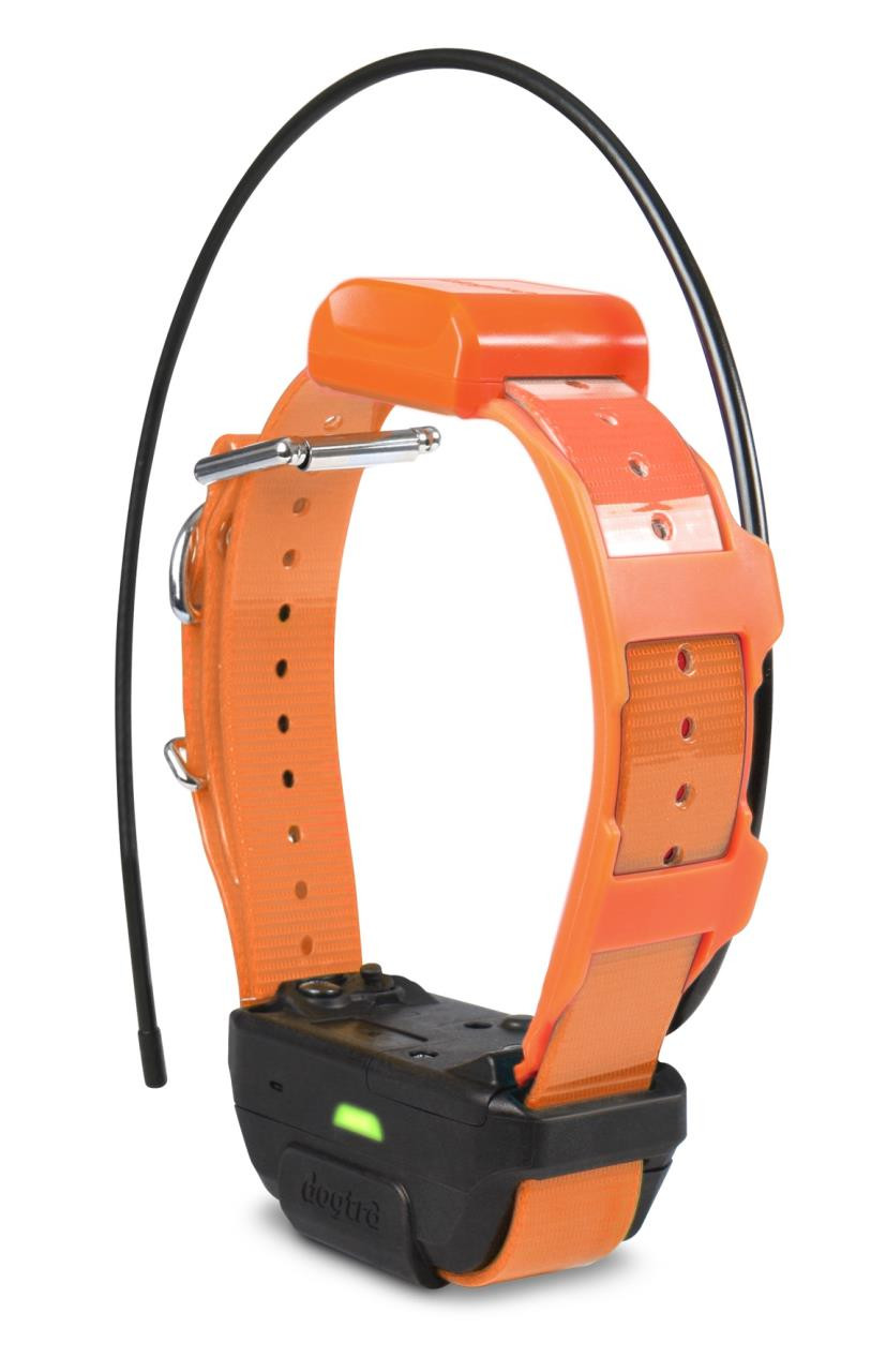 Dogtra Pathfinder Orange Collar Only - 744622080056