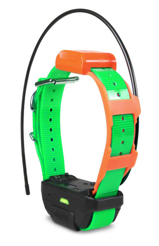 Dogtra Pathfinder Green Collar Only - 744622080063