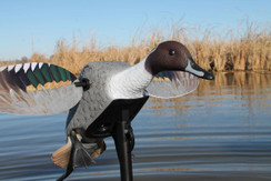 Mojo Elite Series Pintail - 816740003917