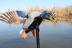 Mojo Elite Series Mini Mallard Drake Decoy - 816740003924