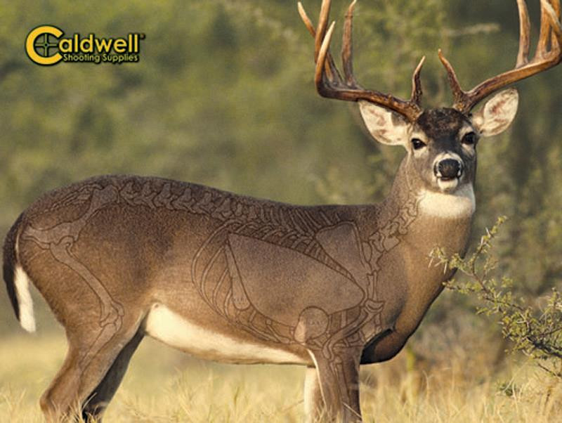 Past 234412 Natural Series Deer Target 1 - 661120344124