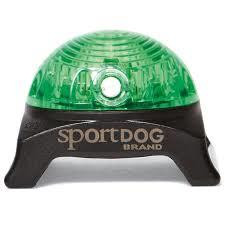 Sport Dog Light Green Beacon