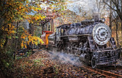 Train's Coming 1000-Piece Jigsaw Puzzle by SunsOut